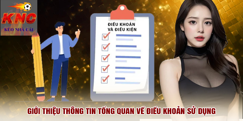 Giới thiệu thông tin tổng quan về điều khoản sử dụng