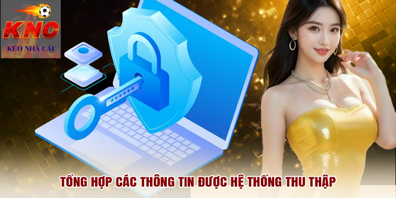Tổng hợp các thông tin được hệ thống thu thập